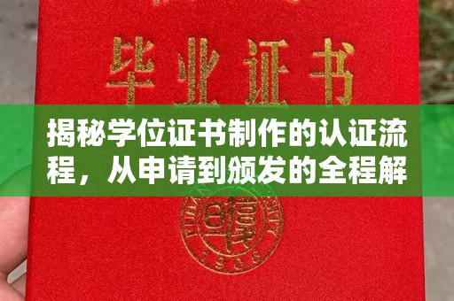 玉井揭秘学位证书制作的认证流程，从申请到颁发的全程解析